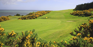 Wicklow golf course