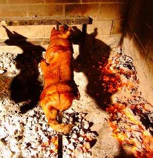 Porceddu - Sardinian spit roast pig