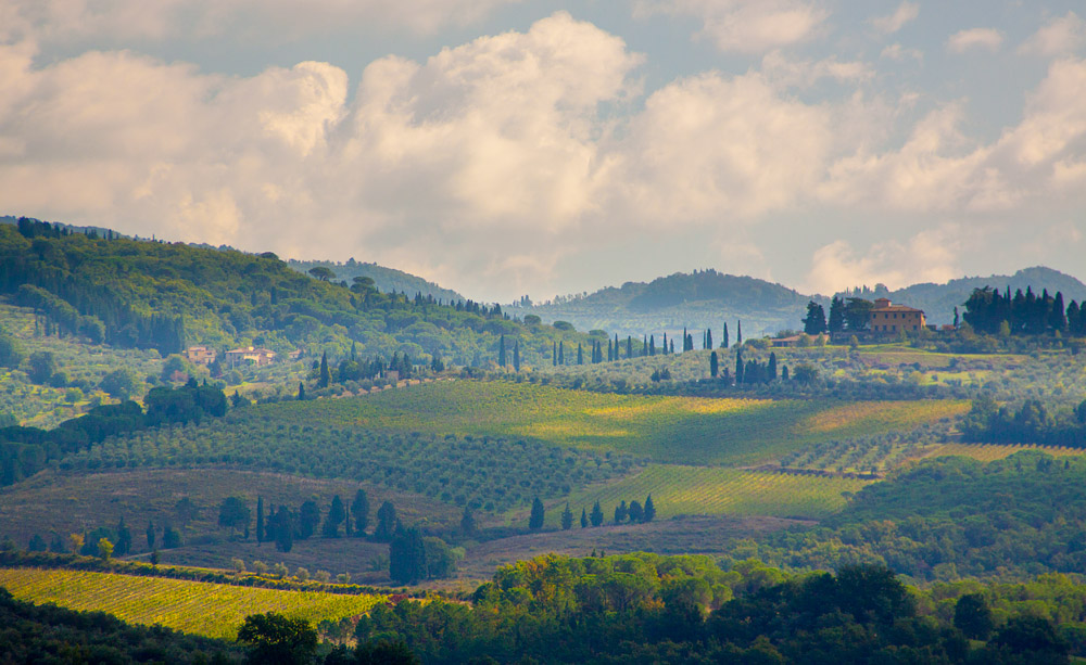 Tuscan countryside & Cypresses