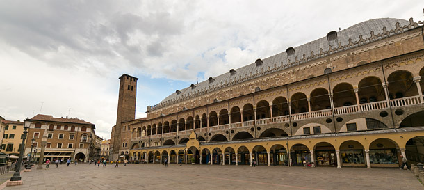 Padova market