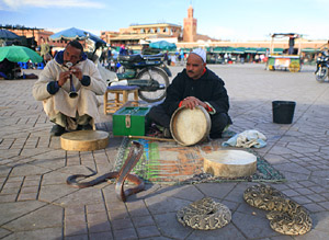 Marrakech - snakecharmers