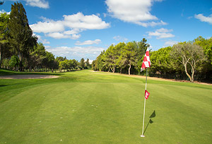 Alto Golf Club