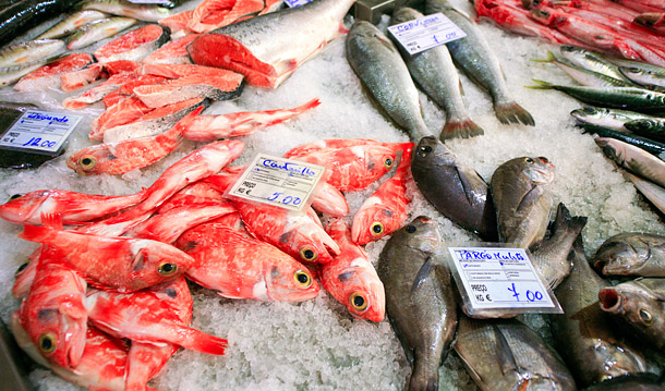 Tavira fish market
