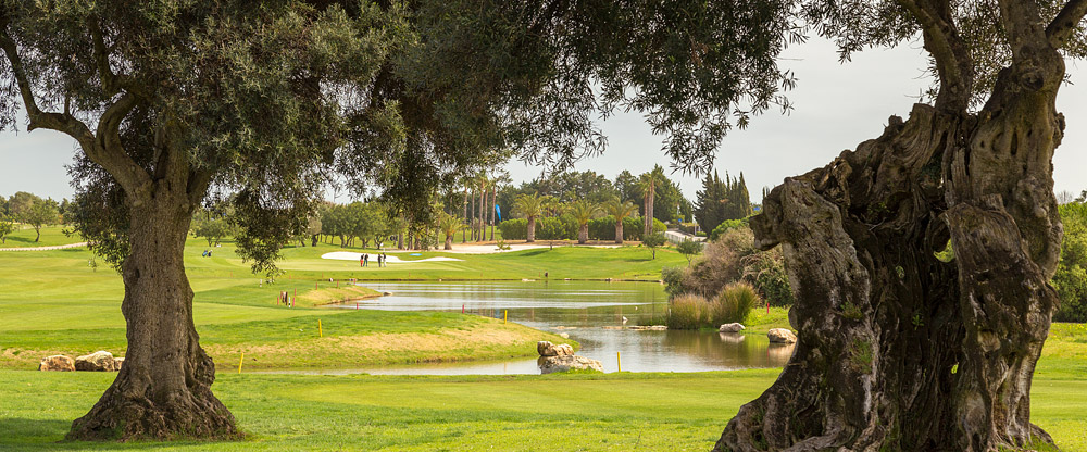 Quinta de Cima golf course